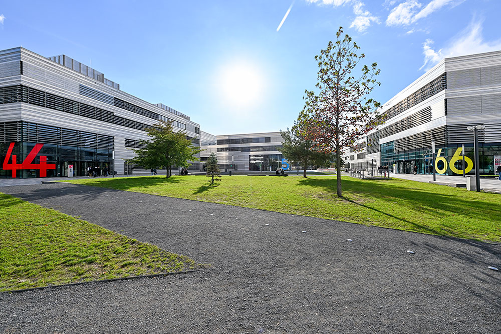 HSD eCampus - Hochschule Düsseldorf